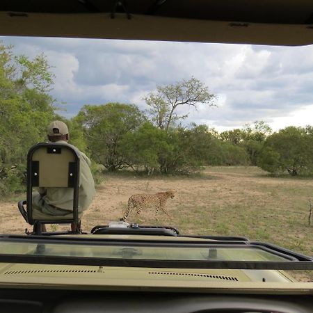 Nyumbani Estate Bush Lodge Hoedspruit Buitenkant foto