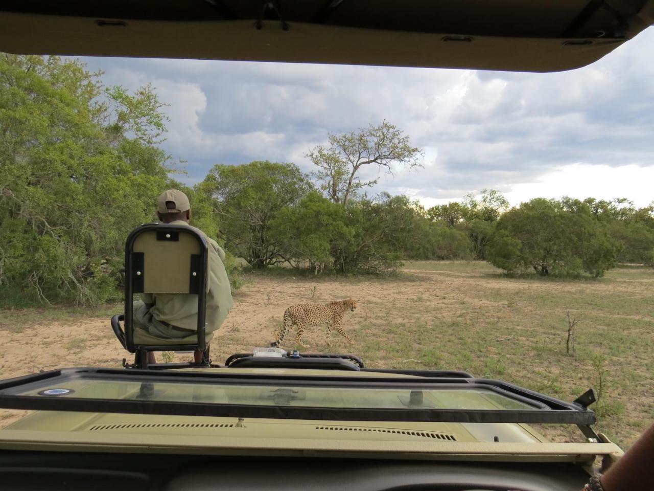 Nyumbani Estate Bush Lodge Hoedspruit Buitenkant foto